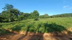 Foto 38 de Fazenda/Sítio com 3 Quartos à venda, 80m² em Zona Rural, Aragoiânia