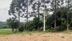 Foto 22 de Fazenda/Sítio com 2 Quartos à venda, 16000m² em Campestre da Faxina, São José dos Pinhais