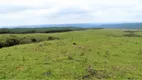 Foto 8 de Fazenda/Sítio à venda, 30000m² em Boa Vista, Rancho Queimado