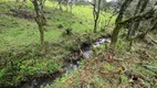 Foto 9 de Fazenda/Sítio à venda, 20000m² em Vacas Gordas, Urubici