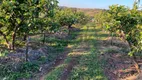 Foto 29 de Fazenda/Sítio com 3 Quartos à venda, 10m² em Macuco, Valinhos