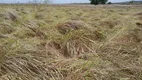 Foto 19 de Fazenda/Sítio com 4 Quartos à venda, 400000m² em Zona Rural, Macaíba