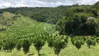 Foto 2 de Fazenda/Sítio com 4 Quartos à venda, 243m² em , Alto Rio Doce