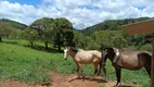 Foto 26 de Lote/Terreno à venda, 20000m² em Zona Rural, Caeté