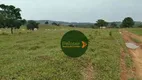 Foto 14 de Fazenda/Sítio à venda, 20812000m² em Zona Rural, Rubiataba