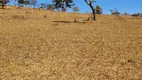 Foto 5 de Fazenda/Sítio à venda em Trevo do Jose Rosario, Leopoldo de Bulhões