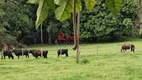 Foto 9 de Fazenda/Sítio à venda, 3m² em , Corumbataí