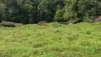 Foto 8 de Fazenda/Sítio à venda, 10m² em Centro, Silvânia