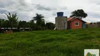 Foto 10 de Fazenda/Sítio com 6 Quartos à venda, 32000m² em Centro, Pereiras