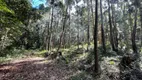 Foto 10 de à venda, 40000m² em Carazal, Gramado