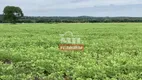 Foto 6 de Fazenda/Sítio à venda em Centro, São Miguel do Araguaia