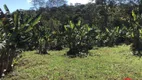 Foto 36 de Fazenda/Sítio com 3 Quartos à venda, 288m² em Pouso Alegre, Santa Isabel