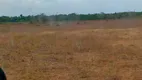 Foto 25 de Fazenda/Sítio à venda, 47432000m² em Zona Rural, Paraíso do Tocantins