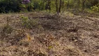 Foto 9 de Fazenda/Sítio à venda, 33m² em Zona Rural, Niquelândia