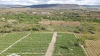 Foto 5 de Fazenda/Sítio à venda, 120000m² em Zona Rural, Bezerros