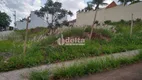 Foto 4 de Lote/Terreno à venda, 300m² em Vigilato Pereira, Uberlândia
