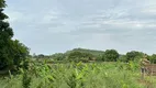 Foto 4 de Fazenda/Sítio com 1 Quarto à venda, 4550m² em Artulandia, Jaraguá