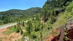 Foto 2 de Lote/Terreno à venda, 495m² em Itacorubi, Florianópolis