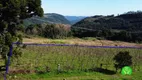 Foto 16 de Fazenda/Sítio à venda, 70000m² em Zona Rural, Monte Belo do Sul