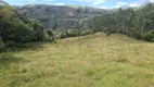 Foto 32 de Fazenda/Sítio com 3 Quartos à venda, 30000m² em Pedra Branca, Alfredo Wagner