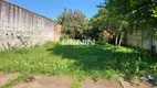 Foto 3 de Lote/Terreno para alugar, 484m² em Niterói, Canoas