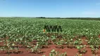 Foto 10 de Fazenda/Sítio à venda, 27000000m² em Parque Jardim das Exposicoes, Ponta Porã