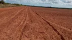 Foto 18 de Fazenda/Sítio com 3 Quartos à venda, 44000m² em Zona Rural, Touros