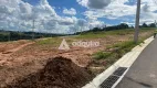 Foto 4 de Lote/Terreno à venda, 207m² em Jardim Carvalho, Ponta Grossa