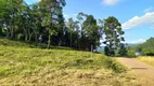 Foto 21 de Lote/Terreno à venda, 20m² em Linha Olinda, Nova Petrópolis