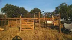 Foto 4 de Fazenda/Sítio com 4 Quartos à venda, 500m² em Zona Rural, Serra Azul