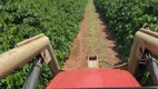 Foto 2 de Fazenda/Sítio à venda em Serra, Belo Horizonte