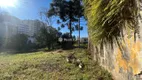 Foto 11 de Lote/Terreno à venda, 5231m² em Borgo, Bento Gonçalves