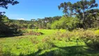 Foto 11 de Lote/Terreno à venda, 20000m² em , São Francisco de Paula