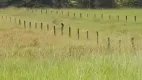 Foto 8 de Fazenda/Sítio à venda, 1000m² em Centro, Santa Maria do Tocantins