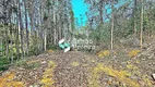 Foto 8 de Fazenda/Sítio com 5 Quartos à venda, 10m² em Zona Rural, Simão Pereira