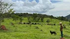 Foto 24 de Fazenda/Sítio com 6 Quartos à venda, 1100000m² em Zona Rural, Passa Tempo