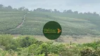 Foto 5 de Fazenda/Sítio à venda, 7300000m² em Zona Rural, Santo Antônio do Amparo