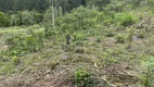 Foto 12 de Fazenda/Sítio com 1 Quarto à venda, 40m² em Centro, Bocaiúva do Sul