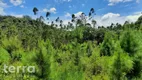 Foto 4 de Fazenda/Sítio à venda, 20246m² em , Doutor Pedrinho