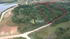 Foto 5 de Fazenda/Sítio à venda, 20000m² em Loteamento Chacara Chantecler, Piraquara