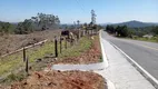 Foto 16 de Fazenda/Sítio com 3 Quartos à venda, 150m² em Zona Rural, Piedade