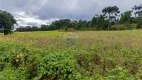 Foto 7 de Fazenda/Sítio com 6 Quartos à venda, 81000m² em Agua Amarela de Baixo, Antônio Olinto