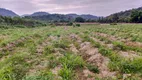 Foto 14 de Fazenda/Sítio à venda, 230000m² em Parque dos Artistas Rio do Ouro, Magé