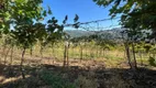 Foto 14 de Lote/Terreno à venda, 26000m² em , Monte Belo do Sul