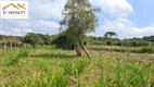 Foto 10 de Fazenda/Sítio à venda, 20000m² em Colônia Murici, São José dos Pinhais