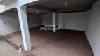 Foto 27 de Casa com 3 Quartos à venda, 300m² em Vigilato Pereira, Uberlândia