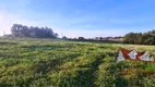 Foto 5 de Fazenda/Sítio com 1 Quarto à venda, 5000m² em Campestre da Faxina, São José dos Pinhais