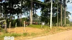 Foto 2 de Fazenda/Sítio com 2 Quartos à venda, 70m² em , Carambeí