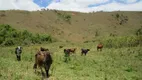 Foto 24 de Fazenda/Sítio à venda, 433300m² em Centro, Santa Rita de Jacutinga