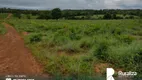 Foto 5 de Fazenda/Sítio à venda, 382m² em Zona Rural, Santa Tereza do Tocantins